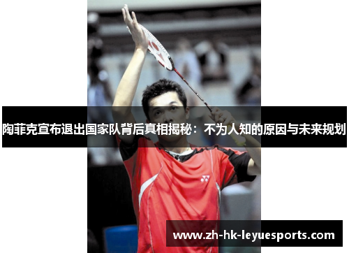 陶菲克宣布退出国家队背后真相揭秘：不为人知的原因与未来规划