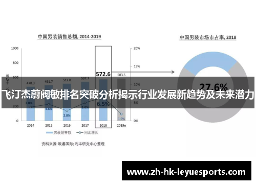 飞汀杰蔚阀敏排名突破分析揭示行业发展新趋势及未来潜力