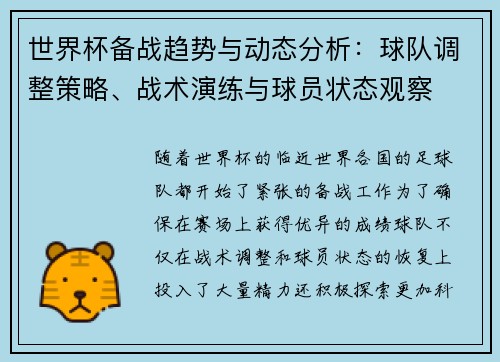 世界杯备战趋势与动态分析：球队调整策略、战术演练与球员状态观察